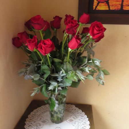 Bed and Breakfast El Pedregal Сопо Екстер'єр фото