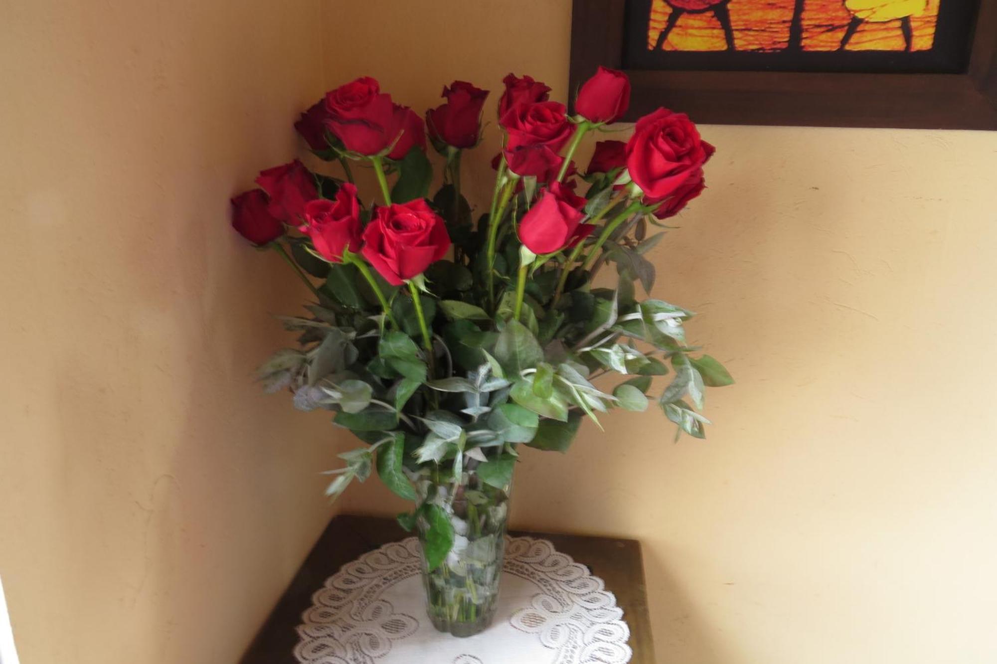 Bed and Breakfast El Pedregal Сопо Екстер'єр фото