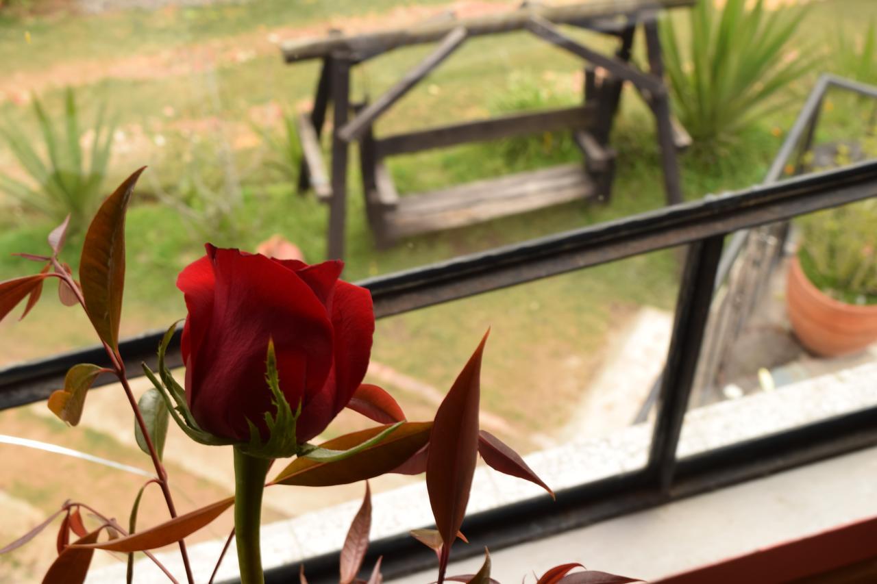Bed and Breakfast El Pedregal Сопо Екстер'єр фото