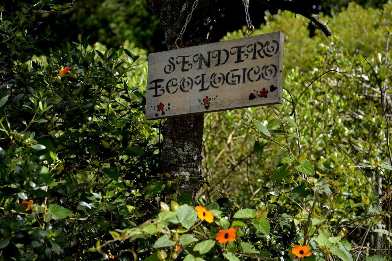 Bed and Breakfast El Pedregal Сопо Екстер'єр фото