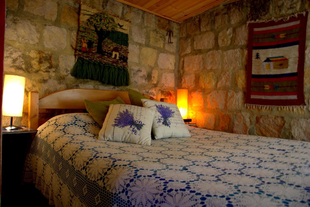 Bed and Breakfast El Pedregal Сопо Екстер'єр фото
