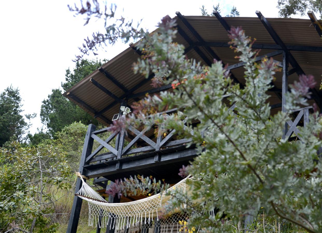 Bed and Breakfast El Pedregal Сопо Екстер'єр фото