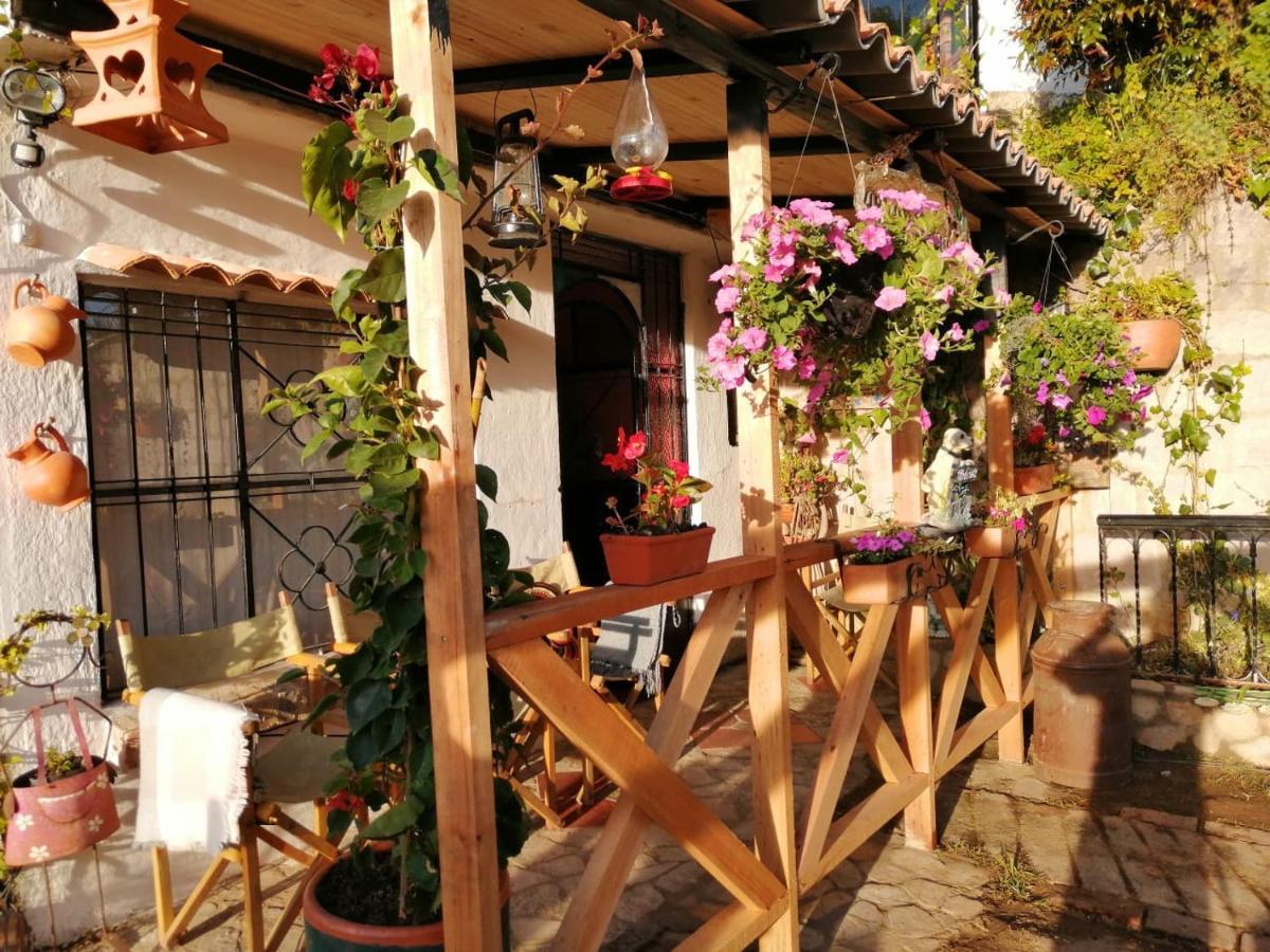Bed and Breakfast El Pedregal Сопо Екстер'єр фото